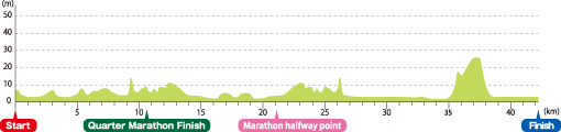 神戸マラソン高低図