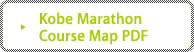 Kobe Marathon Course Map PDF